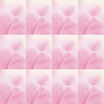 Collage from pink tulips Stock Photos
