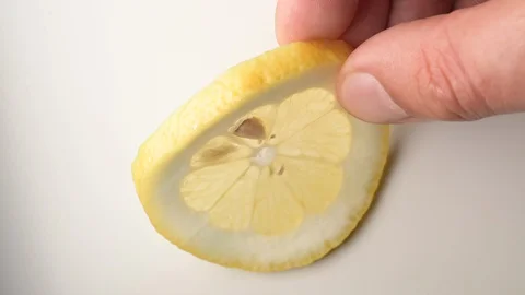 Collage portrait of lemon slice Stock Footage 128546984