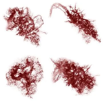 Collage of red liquid splashes. Liquid with splashes on a white background. A Stock Illustration