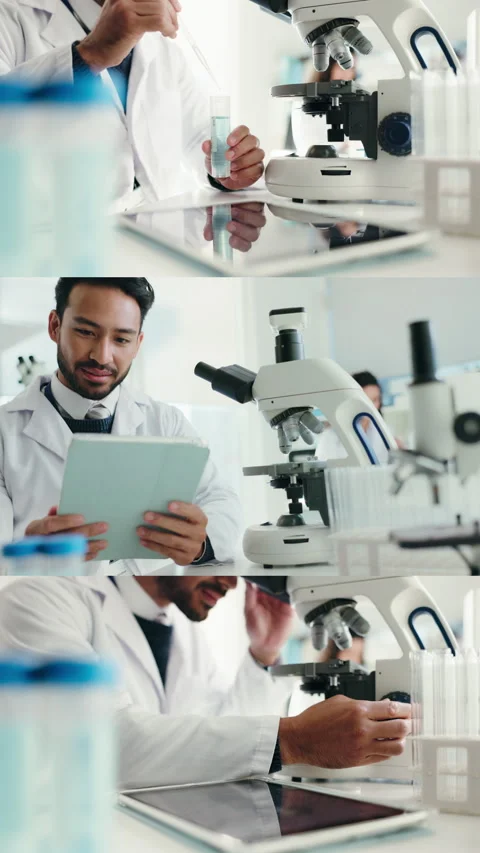 Collage, science and man with tablet and microscope for sample, medical study Video stock 333294547