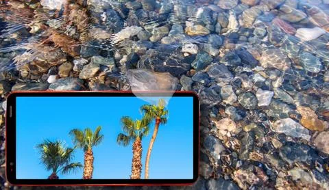 Collage of sunny jellyfish floating in water above Black sea stones and cell  Stock Photos