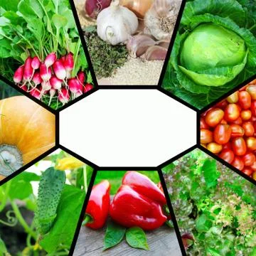 Collage on the theme of vegetables. Foto stock