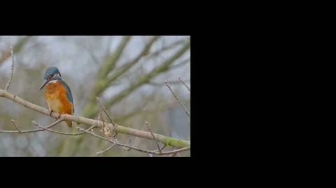 A collage with three verschaus the area nature and environment....... Stock Footage 45526672