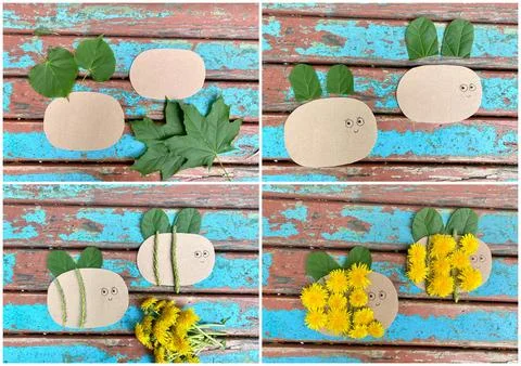 Collage tutorial how to make a bee out of natural material and cardboard 写真素材