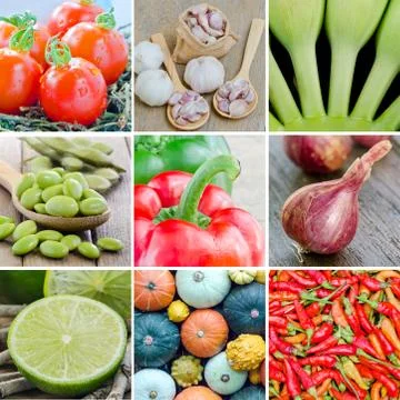 Collage vegetables Stock Photos