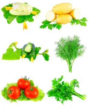 Collage of vegetables on white background. Stock Photos