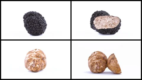 Collage of whole and half cut black and white truffles rotating over white Video stock 129772537