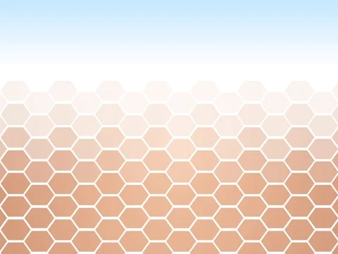 Collagen and skin whitening vector graphic Stock Footage 80794893
