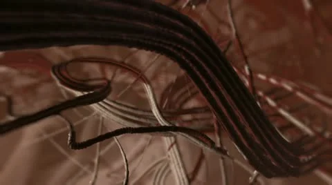 Collagen Stock Footage 21299285