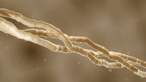 Collagen Stock Footage 165331795