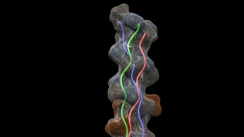 Collagen molecule 3d animation Stock Footage 103108860