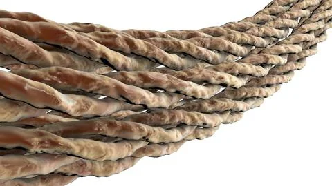 Collagen triple helix molecules Stock Illustration