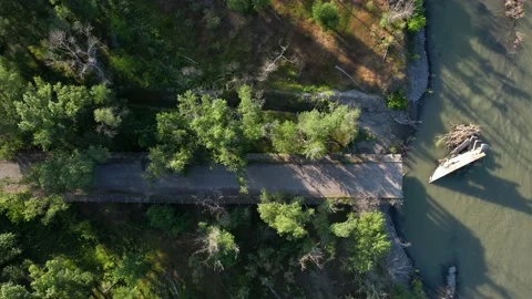 Collapsed bridge in the forest Stock Footage 196210252