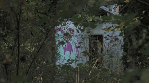 A collapsed building with graffiti Stock Footage 163767794