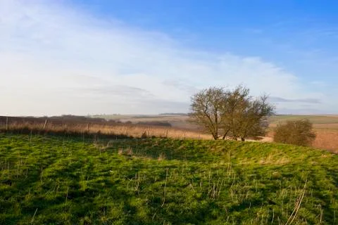 Collapsed burial mound Stock Photos