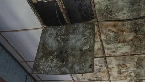 A collapsed ceiling in an abandoned building. Stock Photos