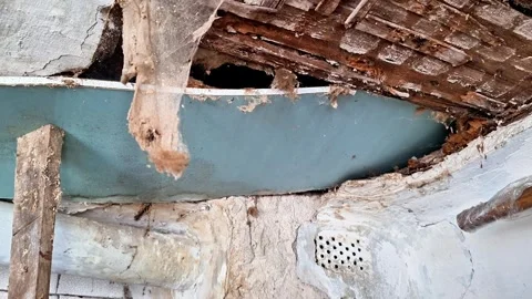 Collapsed Ceiling and Exposed Wooden Lath Building Interior 動画素材 336525078