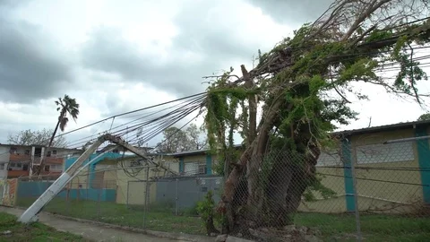 Collapsed power line from hurricane Maria in Puerto Rico Stock Footage