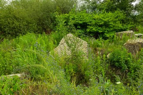 Collapsed wall on the outskirts of the forest Stock Photos