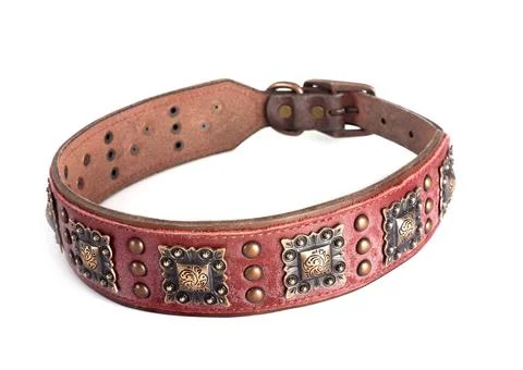 Collar for dog Stock Photos