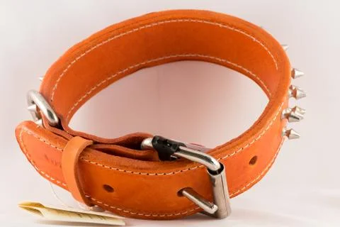 Collar for dogs Stock Photos