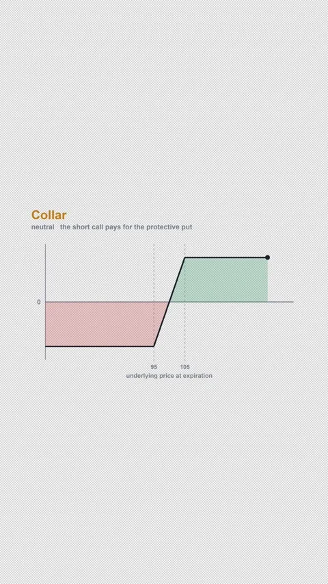 Collar Options Strategy Payoff Diagram Animation Alpha 4K Vertical 9x16 Light Видео 339507059