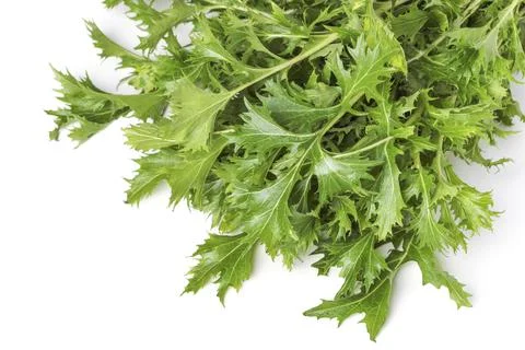 Collard greens Stock Photos