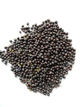 Collard seeds Stock Photos