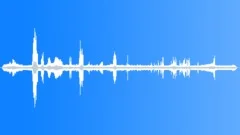 Collared Grey Fantail CUSound Effect
