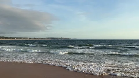 Collaroy Beach Video stock 293277733