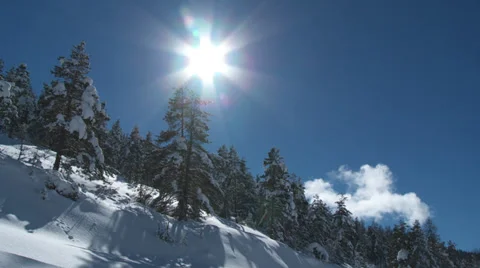 Colle De St Michel Bright Sun Over Pines Stock Footage 35459583