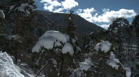 Colle De St Michel Pan Over Frozen tree Tops Stock Footage 35476064