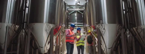 Colleagues auditing production process Stock Footage 147577277