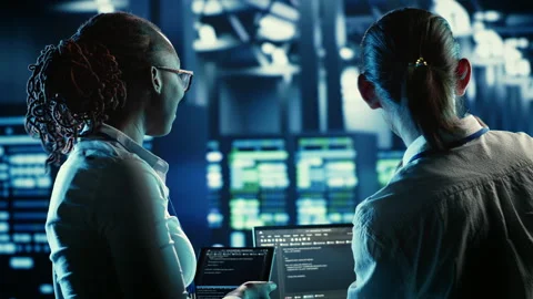 Colleagues coding in data center Stock Footage 249563190