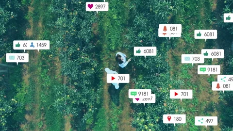 Colleagues walking through orchard, tracking marketing social media metrics with Stock Footage 308206545