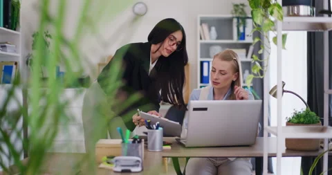 Colleagues Work Together on Project on Laptop Stock Footage 278072393