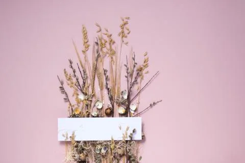 Collect easter composition on a pale pink background. Dried flowers and eggs  Stock Photos