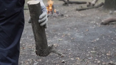 Collect firewood for a fire Stock Footage 116973916