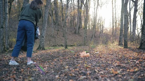 Collect garbage in the fall in a trash bag. A woman in the forest saves nature Stock Footage 124227140
