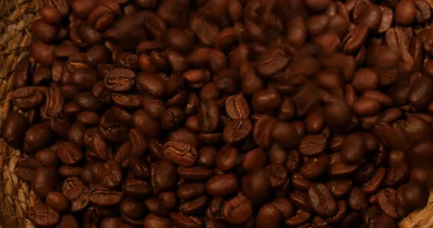 Collect mass of coffee beans Stock Footage 162610182