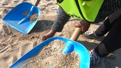 Collect nurdles (plastic pellets) from beach into spade Stock Footage 157209403