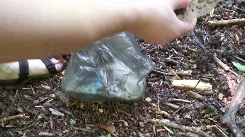 Collect plastic garbage. Video stock 162822490