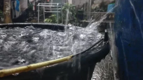 Collect Rainwater Stock Footage 243345071