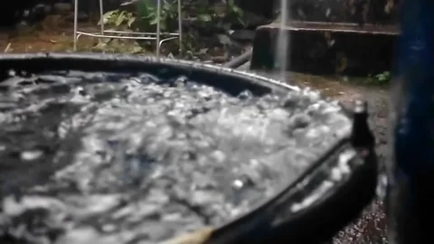 Collect Rainwater Stock Footage 243345251