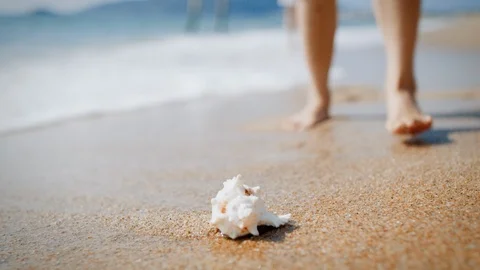 Collect shells on the beach Stock Footage 125412329