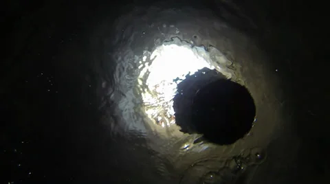 Collect water Vidéo 37109304