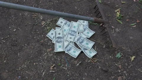 Collected dollars by rake Stock Footage 75915828