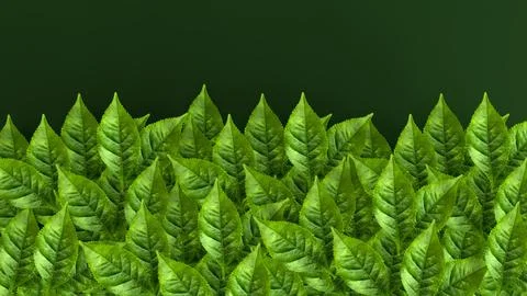 A collected tea leaves Stock Illustration