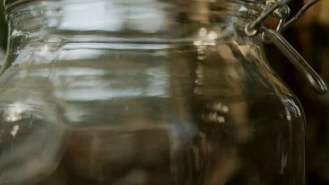 Collecting birch sap. Close-up of a light drop of juice Stock Footage 266991864