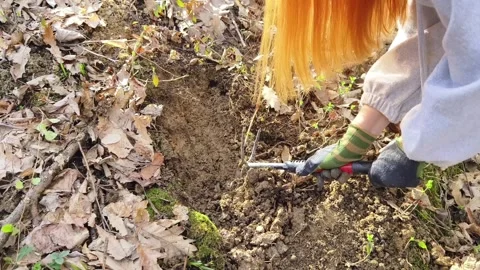 Collecting compost for flower pot Stock Footage 268056986